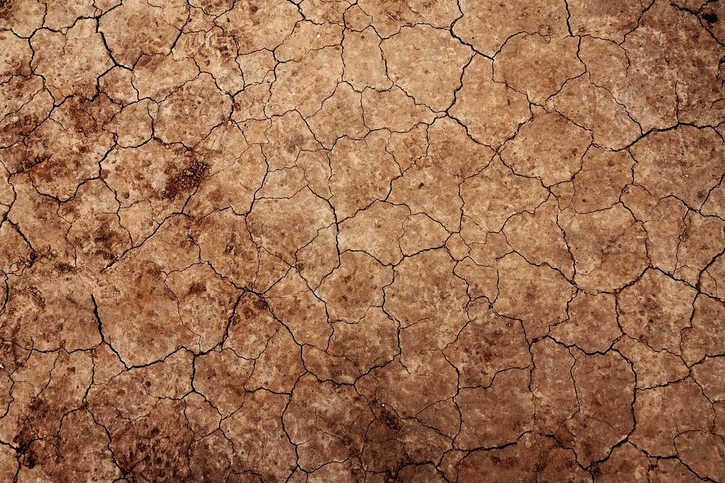 Dry cracked earth representing water scarcity